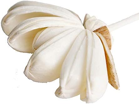10 Heliconia Sola Flower Reed Diffuser Home Fragrance Oil