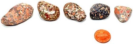 30PCS Leopardite Jasper Stones Natural Polished Indoor Fountain Decor