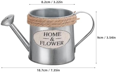 Ciieeo 3pcs Mini Iron Watering Can Flower Vase