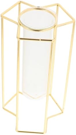 Minimalist Flower Vase with Iron Stand for Home and Office