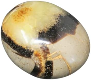 1 Pcs Septarian Hand Polished Stones with Magnificent Finish