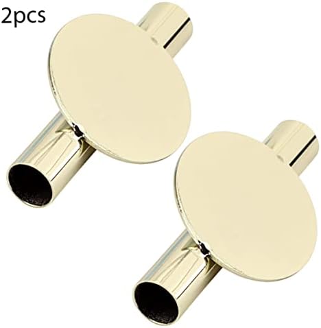 Golden Wall Vase 2Pcs Metal Holder with Dried Flower Display