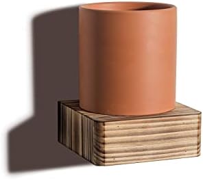 Freezing Point Mini Floating Shelf for Home Decor