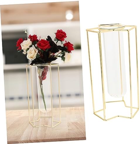 Minimalist Flower Vase with Iron Stand for Home and Office