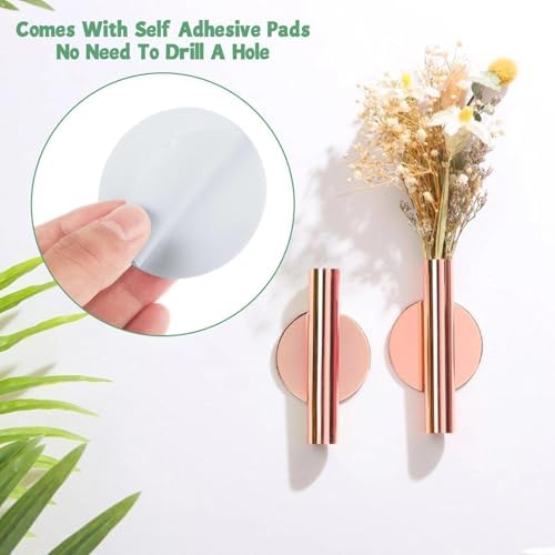 10 Pcs Gold Wall Decor Dried Flower Holder