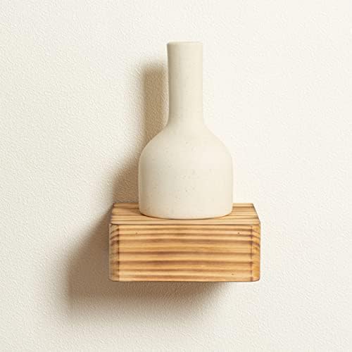 Freezing Point Mini Floating Shelf for Home Decor