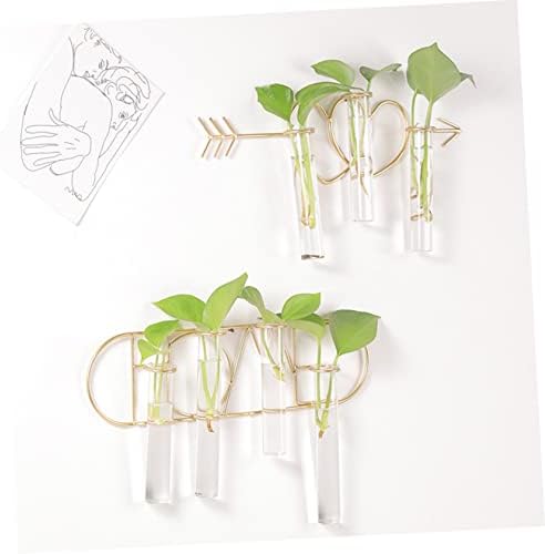 Zerodeko 1set Wrought Iron Wall Vase for Hydroponics and Dried Flowers