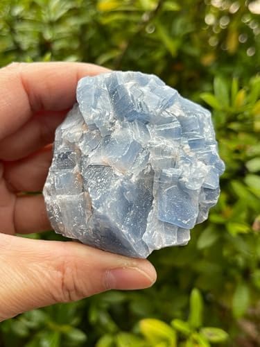 GAF TREASURES 1 Pound Blue Calcite Rough Stones