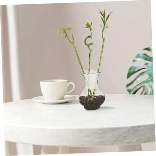 4pcs Clear Plastic Hydroponic Vases for Hyacinth Propagation