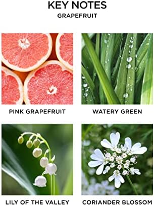 NEST New York Wall Diffuser Set Grapefruit