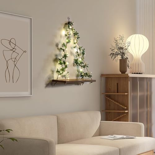 Plant Hanging Floating Shelves with LED Light Strip Set of 2