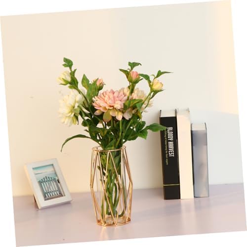 MAGICLULU 1Pc Iron Hydroponic Container for Plant Display and Dried Flower Arrangement
