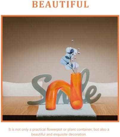 Amosfun Glass Vase for Modern Home Decor
