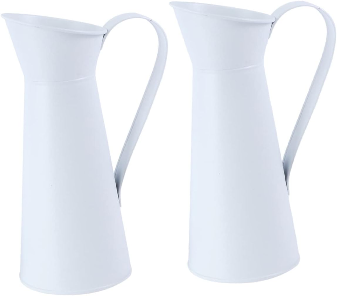 2pcs Iron Flower Vase for Modern Home Decor