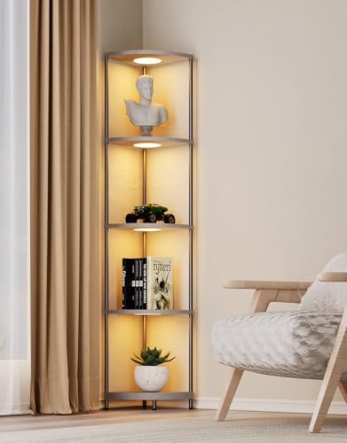 PARTPHONER Corner Shelf with LED Light and Storage