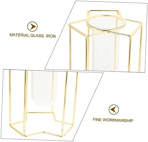 Minimalist Flower Vase with Iron Stand for Home and Office