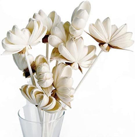 10 Heliconia Sola Flower Reed Diffuser Home Fragrance Oil