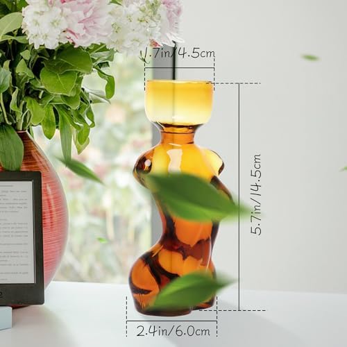 Propagation Vases for Plants and Home Decor Gift