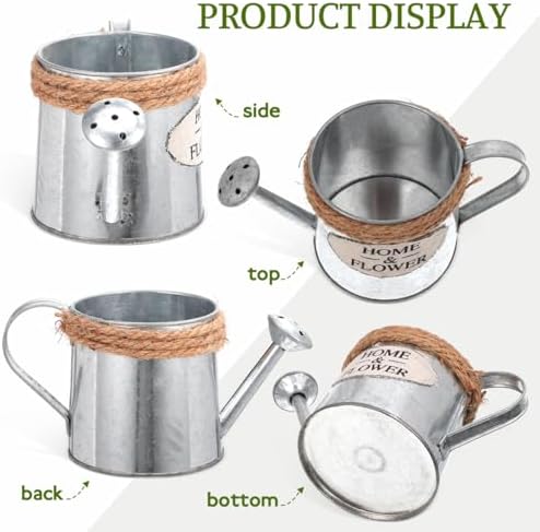 Ciieeo 3pcs Mini Iron Watering Can Flower Vase