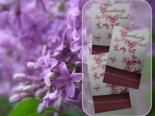 Simplicity Scents Southerly Wind Scented Sachets Pack of 6
