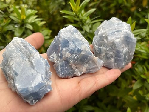 GAF TREASURES 1 Pound Blue Calcite Rough Stones