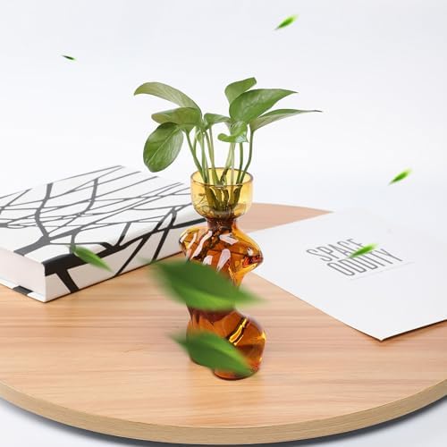 Propagation Vases for Plants and Home Decor Gift