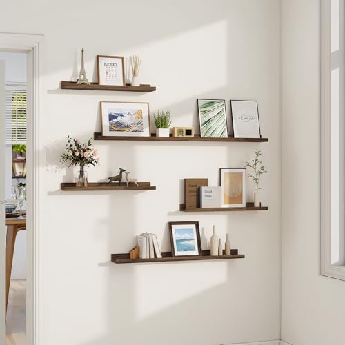 Dreamland Floating Shelf Set of 2 24 Inch for Wall