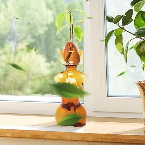 Propagation Vases for Plants and Home Decor Gift