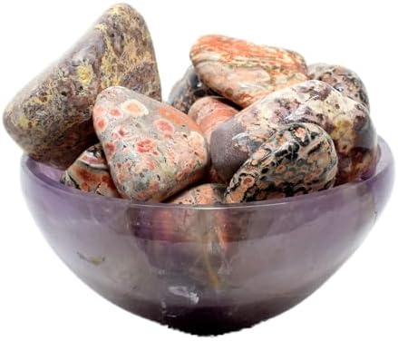 HQRP 5PCS Leopardite Jasper Pebbles Natural Decor Stones