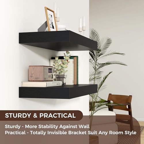 Venusmiles 24 x 12 Black Floating Wall Shelf
