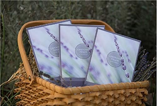 Lavender Scented Sachets Pack of 3 - Home Fragrance