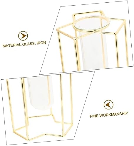 PRETYZOOM Transparent Glass Bud Vase with Iron Stand