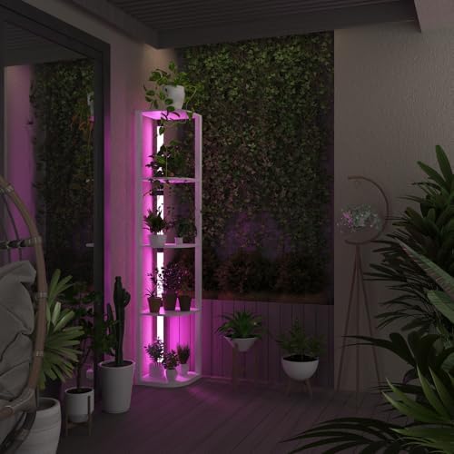 VTRIN Corner Shelf with Light 5-Tier Modern Storage