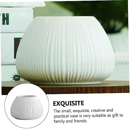 Balacoo White Ceramic Vase 1PC Small Flower Pot Decorative Container
