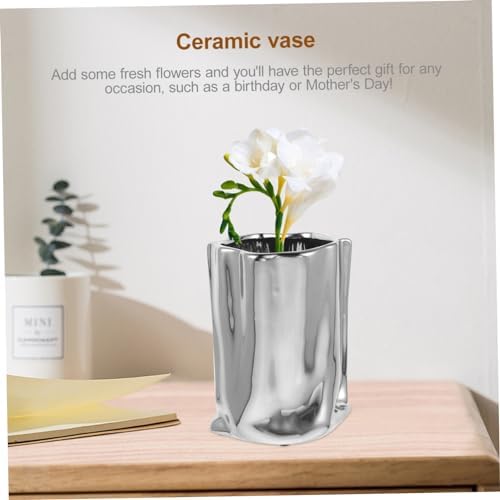 LIFKOME Dried Flower Vase for Home Decoration