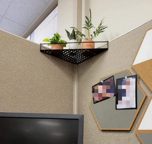 Bioristar 2-Pack Iron Office Corner Shelf
