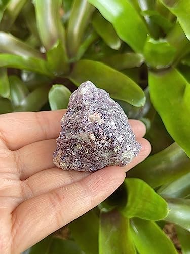 GAF TREASURES 3 Pcs Natural Lepidolite Crystals