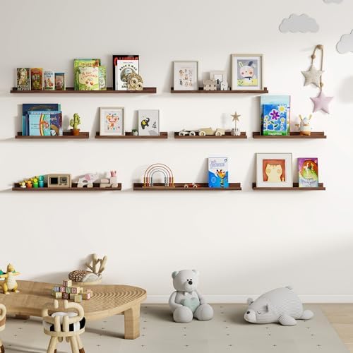 Dreamland Floating Shelf Set of 2 24 Inch for Wall