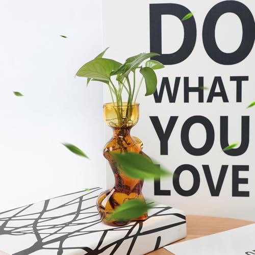 Propagation Vases for Plants and Home Decor Gift