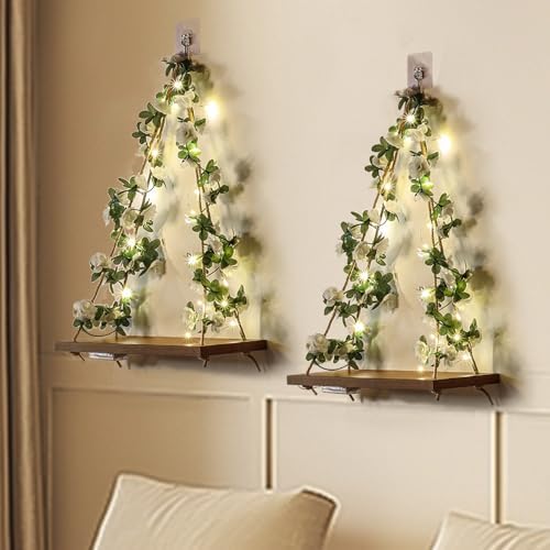 Plant Hanging Floating Shelves with LED Light Strip Set of 2