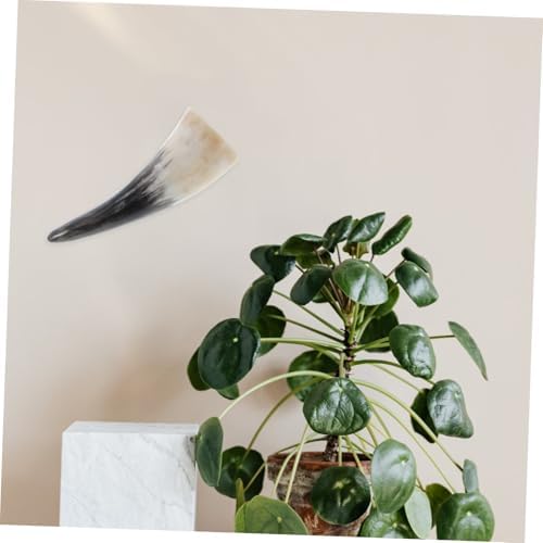 MAGICLULU Cow Horn Wall Decor Flower Holder
