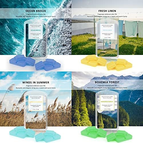 STRN Scented Wax Melts 16 Pack Fall Winter Gift Set