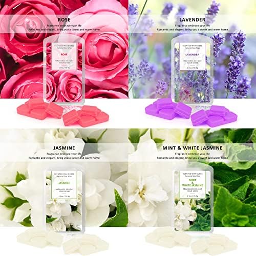 STRN Scented Wax Melts 16 Pack Fall Winter Gift Set