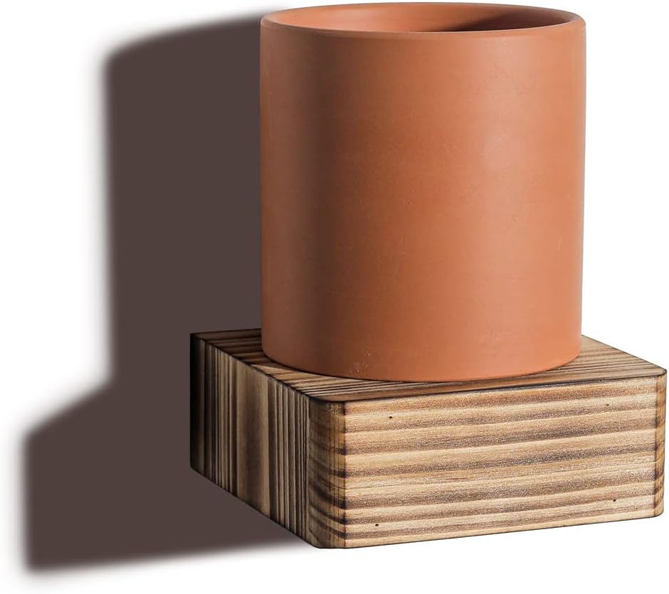 Freezing Point Mini Floating Shelf for Home Decor