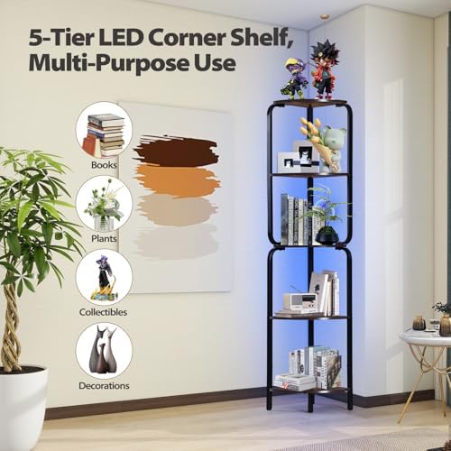 Modern 5 Tier Corner Shelf with LED Light
