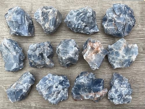 GAF TREASURES 1 Pound Blue Calcite Rough Stones