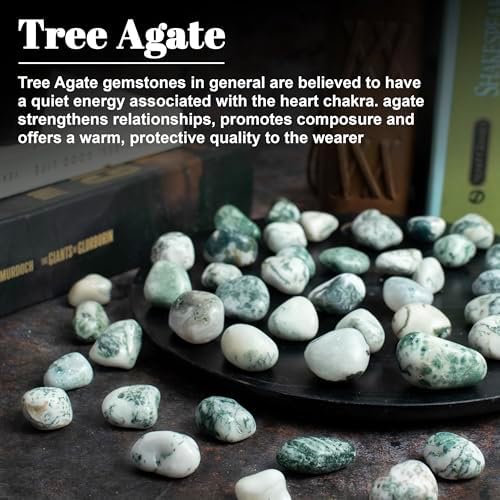 Crocon 1lb Tree Agate Tumble Stones Set