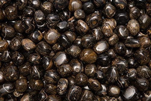 Fantasia 12 Pcs Natural Stromatolite Tumbled Stones from Peru
