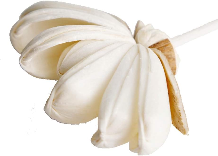 10 Heliconia Sola Flower Reed Diffuser Home Fragrance Oil