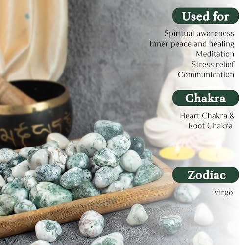 Crocon 1lb Tree Agate Tumble Stones Set